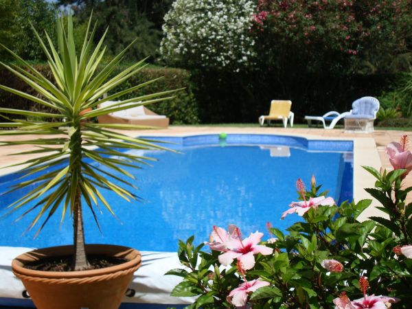 Cost of Pool Terrace Renovation in Boston