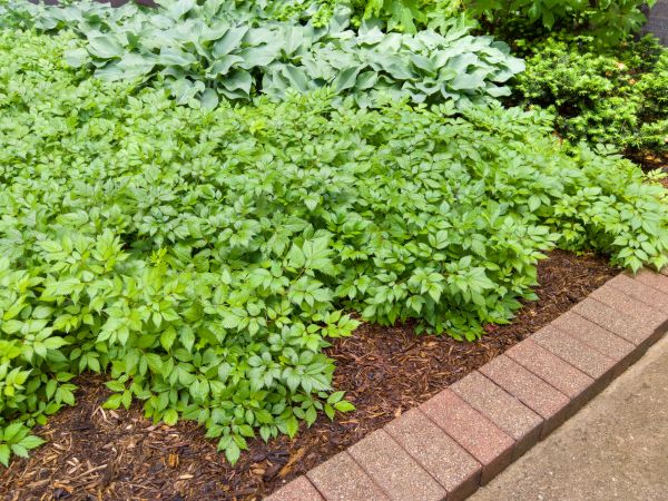 Cost of Brick Hardscaping in Boston